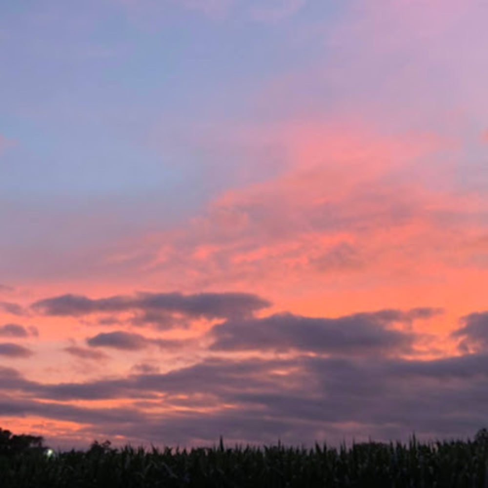 Meet your Posher, Elsa